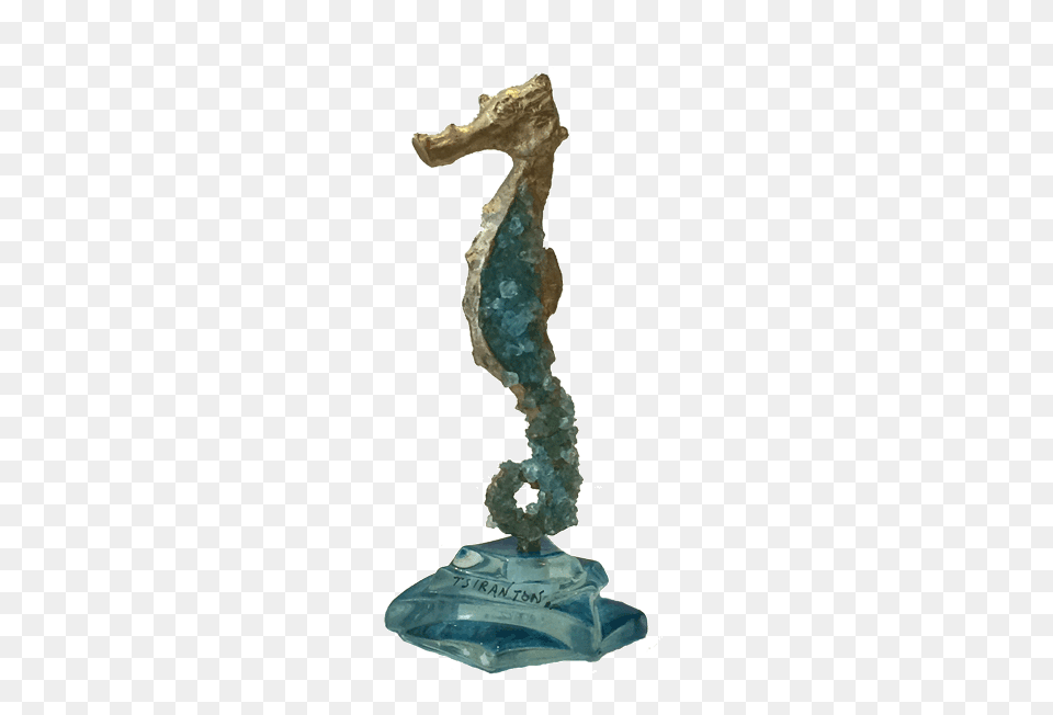 Bronze Glass Seahorse Kallisti Gallery, Animal, Mammal, Sea Life, Dinosaur Free Transparent Png