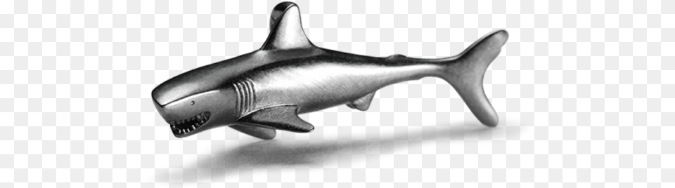 Bronze Hammerhead Shark, Animal, Fish, Sea Life Free Png