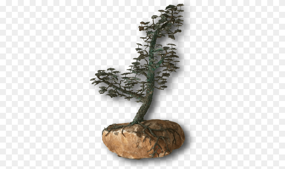 Bronze Of A Bonsai Tree In Full Leaf 1960s Houseplant, Plant, Potted Plant, Wood Png