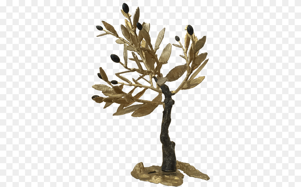 Bronze Olive Tree 001 Kallistigallery Magnolia, Plant, Wood, Seaweed, Leaf Png Image