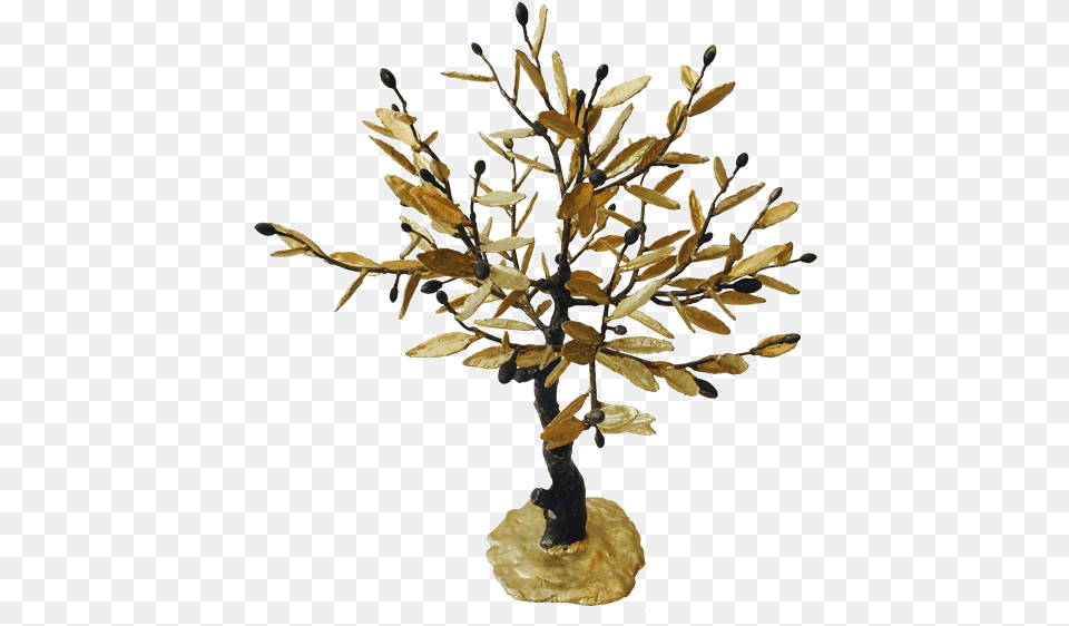 Bronze Olive Tree Bonsai, Flower, Flower Arrangement, Plant, Wood Free Png Download