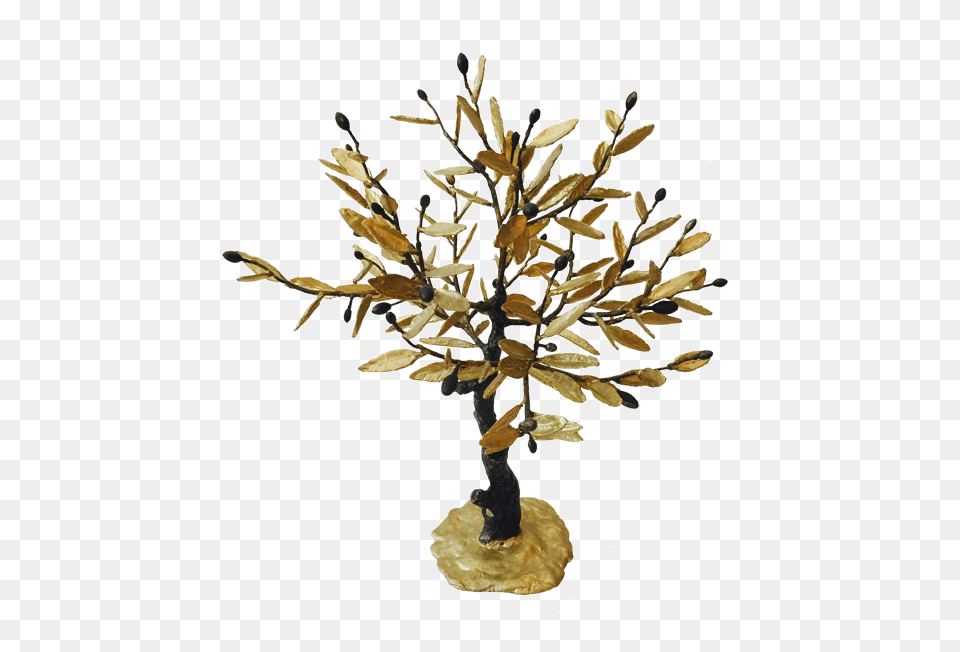 Bronze Olive Tree Kallisti Gallery, Plant, Wood, Flower, Flower Arrangement Png
