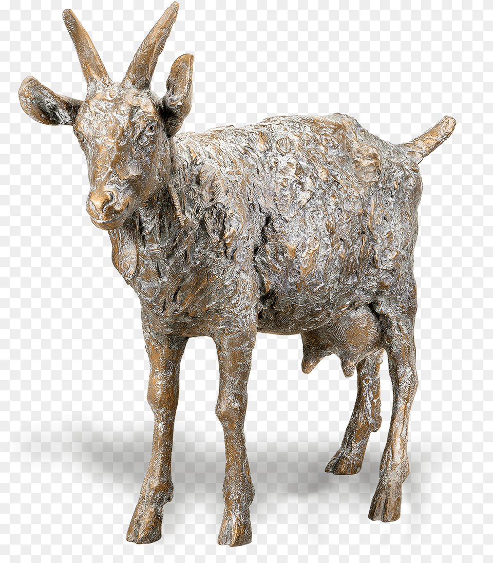 Bronze Sculpture Ziege By Friedhelm Zilly For Sale Animal Figure, Antelope, Livestock, Mammal, Wildlife Png Image