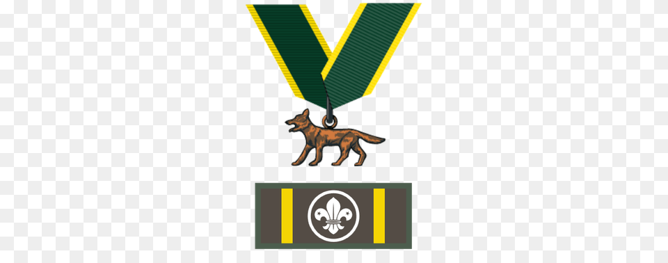 Bronze Wolf Award, Animal, Mammal, Coyote, Logo Png