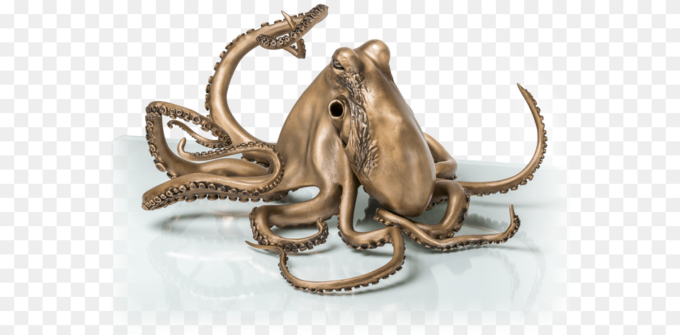 Bronzefigur Octopus Von Viktor Palus Octopus, Animal, Invertebrate, Sea Life, Food Png