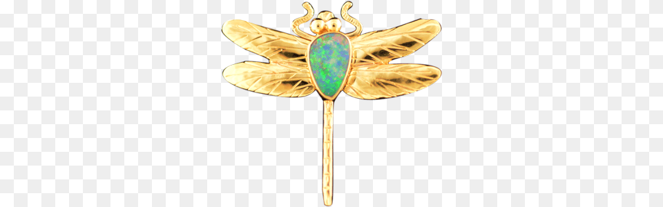 Brooch, Accessories, Gemstone, Jewelry, Ornament Free Transparent Png