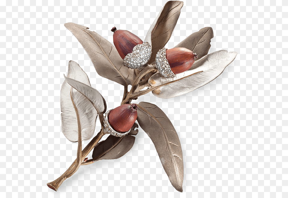 Brooch Designed As A Evergreen Oak Branch Brooch, Food, Nut, Plant, Produce Free Png Download