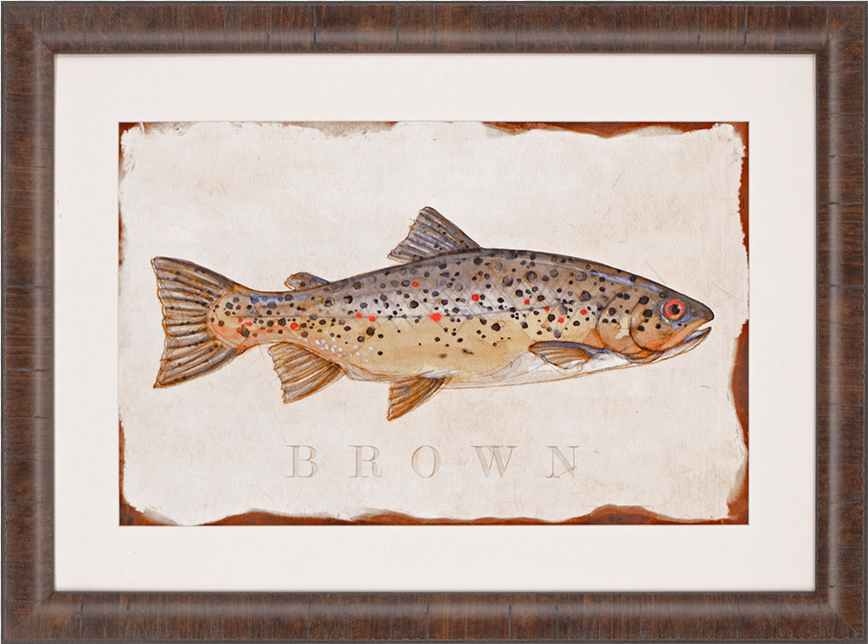 Brook Trout Brook Trout Artwork 38quotx28quot White Posters Prints, Animal, Fish, Sea Life Free Png Download