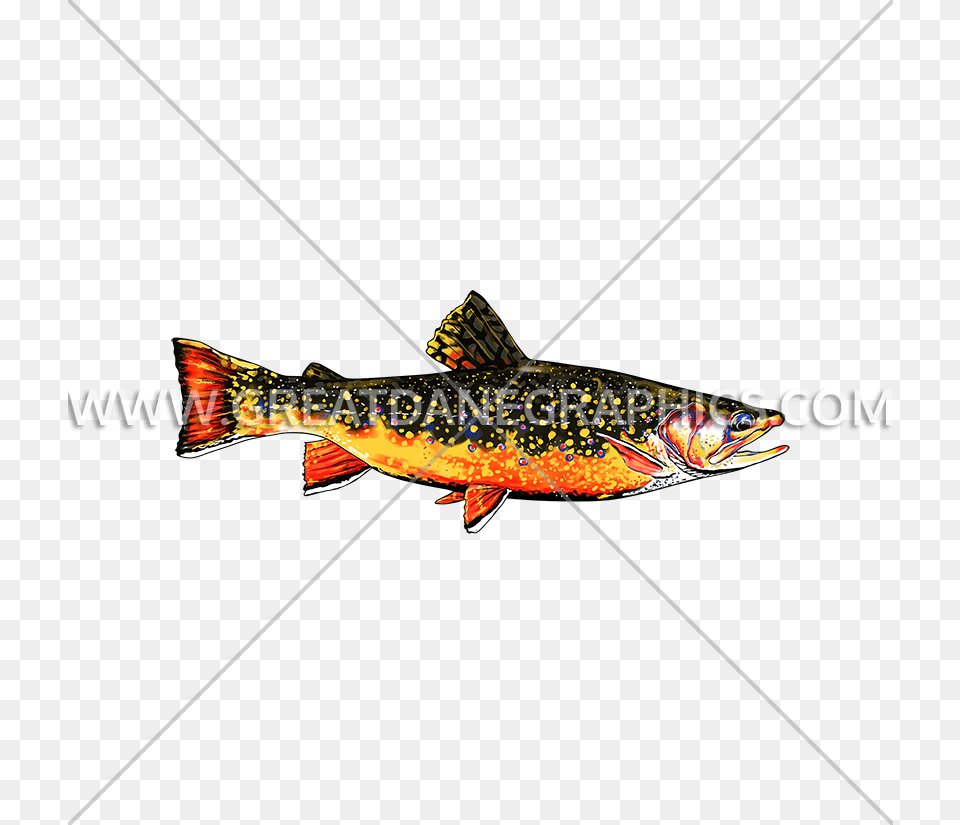 Brook Trout Production Ready Artwork For T Shirt Printing, Animal, Fish, Sea Life Free Png