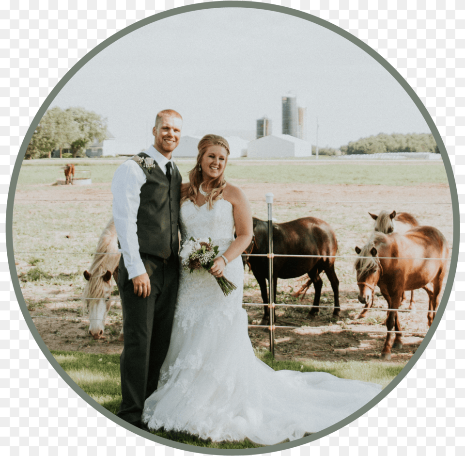 Brooke And Jason Download, Formal Wear, Wedding Gown, Wedding, Photography Free Transparent Png