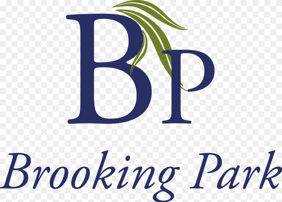 Brooking Park Is A Not For Profit Faith Based Life Brand Van Egmond Lighting Sculptures, People, Person, Art, Graphics Png Image