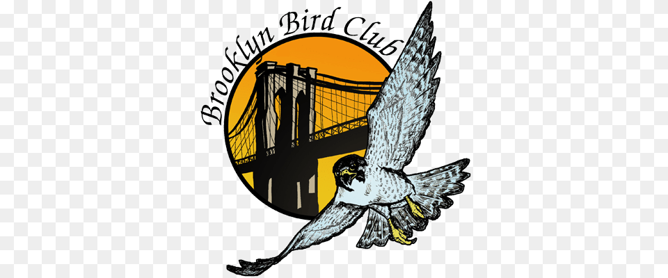 Brooklyn Bird Club Celebrating Years, Animal, Hawk, Buzzard Free Transparent Png