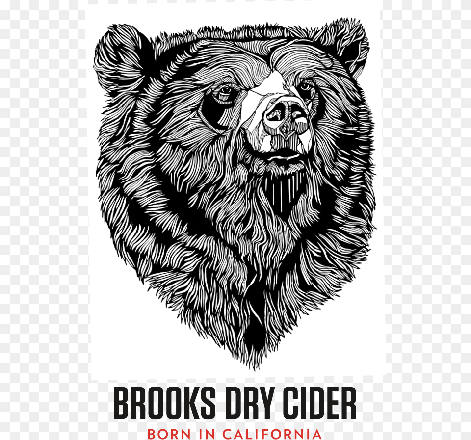 Brooks Dry Cider California Bears Museum, Animal, Lion, Mammal, Wildlife Png