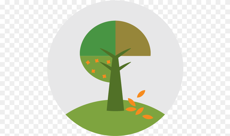 Brookside Landscape Design Tree, Grass, Plant, Green Png Image