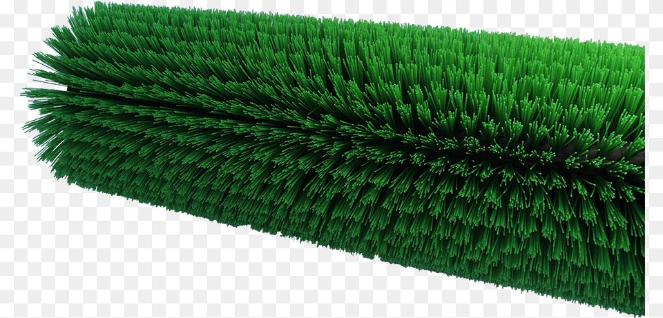 Broom, Brush, Device, Plant, Tool Free Png