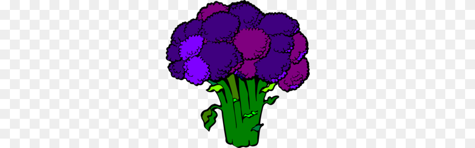 Bropcoli, Purple, Flower, Plant, Food Png Image