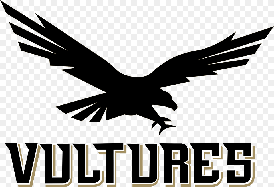 Brosh The Oil Fantasy Football And Veteran Community Fantasy Football Vultures Logo, Animal, Bird, Blackbird, Flying Free Png