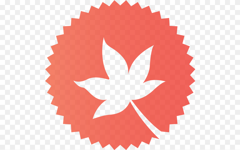 Brothers Craft Brewing Beer Tap Icon, Leaf, Plant, Flower, Petal Png
