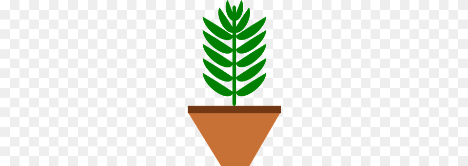 Brown Leaf, Plant, Tree, Conifer Free Transparent Png