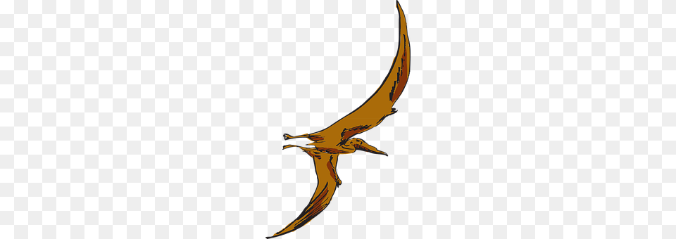 Brown Sword, Weapon, Person Free Transparent Png