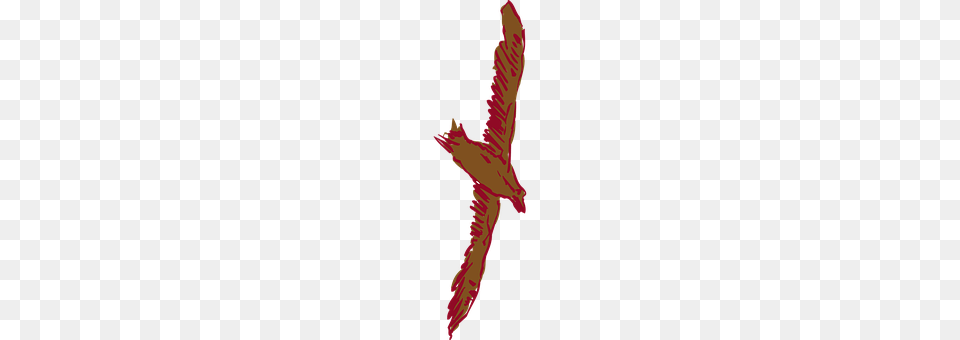 Brown Animal, Bird, Flying, Person Png