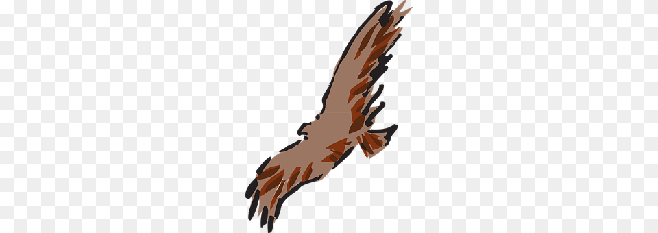 Brown Animal, Bird, Flying, Vulture Png