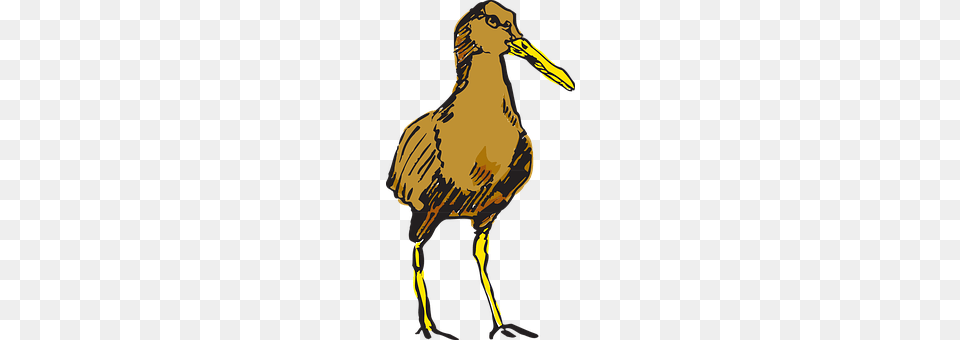 Brown Animal, Beak, Bird, Person Png