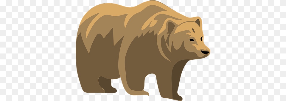 Brown Animal, Mammal, Bear, Brown Bear Free Png