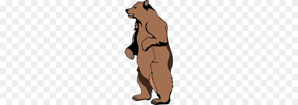 Brown Adult, Male, Man, Person Png