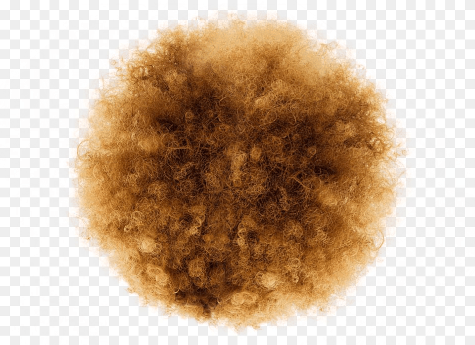 Brown Afro, Texture, Person, Head, Art Free Png Download