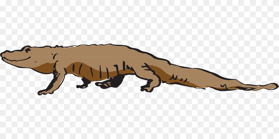 Brown Alligator Clipart Explore Pictures, Animal, Dinosaur, Reptile Free Transparent Png