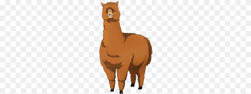 Brown Alpaca Render Alpaca Love Live Render, Animal, Mammal, Llama, Person Free Transparent Png