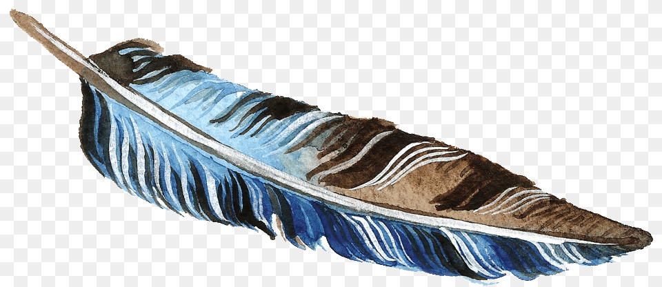 Brown And Blue Feather Transparent Decorative Canoe, Bottle, Animal, Bird, Ink Bottle Free Png