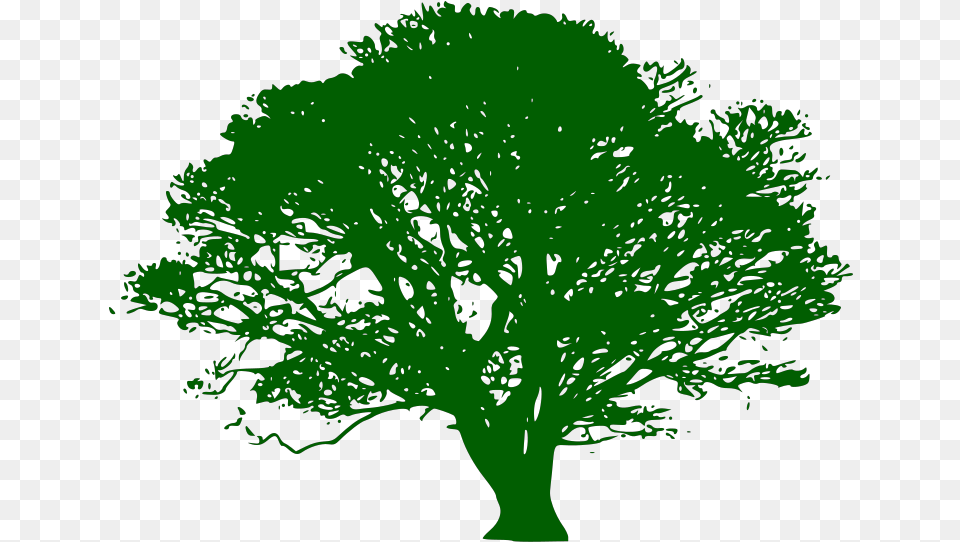 Brown And Green Tree Branch Svg Clip Arts Silhouette Big Tree Vector, Oak, Plant, Sycamore, Vegetation Free Png Download