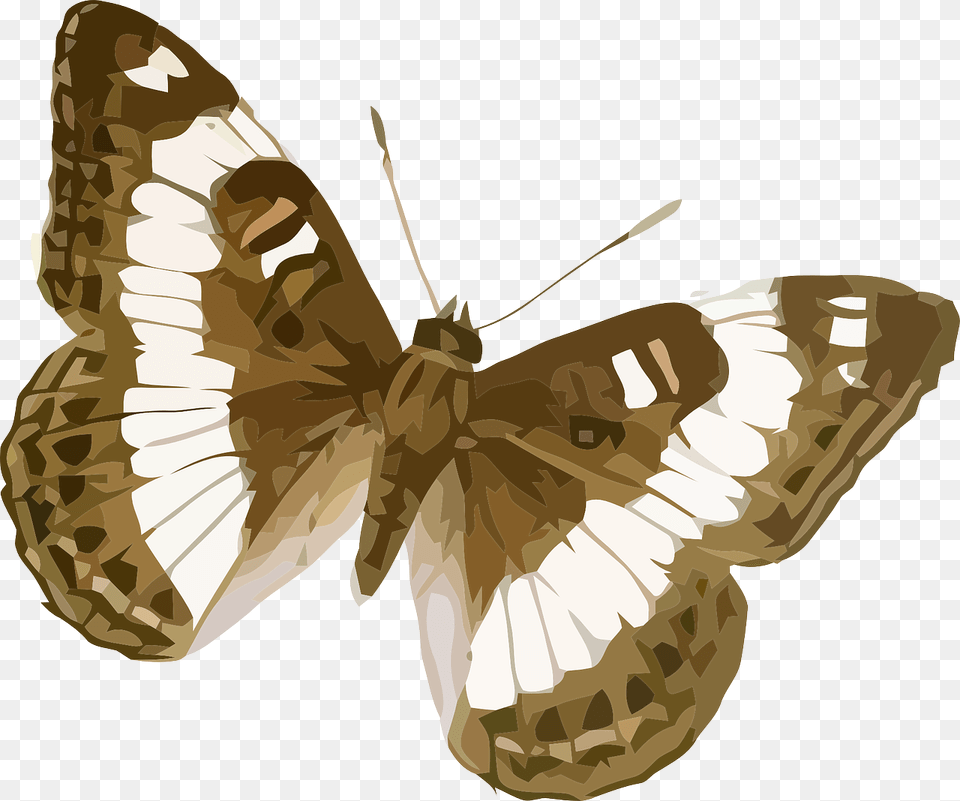 Brown And White Striped Butterfly, Animal, Insect, Invertebrate, Moth Free Transparent Png
