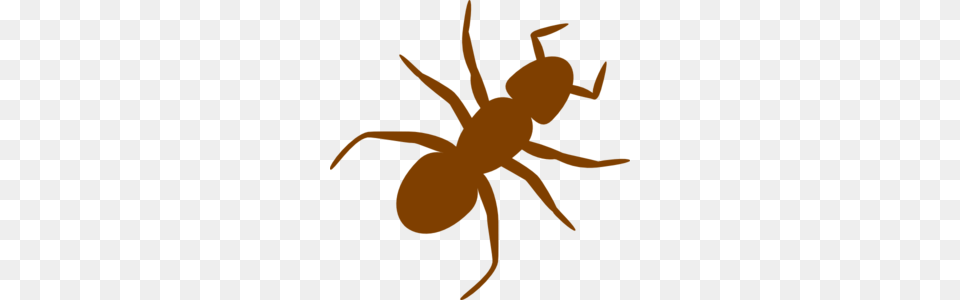 Brown Ant Clip Art, Animal, Insect, Invertebrate, Person Png Image