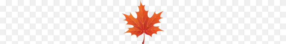 Brown Autumn Leaf Clipart M Clip Art, Plant, Tree, Maple Leaf, Person Png Image