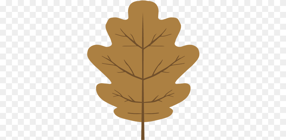 Brown Autumn Oak Leaf U0026 Svg Vector File Illustration, Plant, Tree, Person, Maple Leaf Png