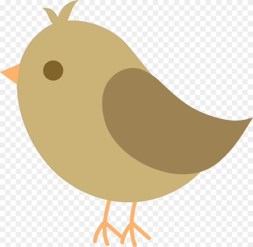 Brown Baby Sparrow Art Birds Cartoon Birds, Animal, Bird, Quail, Beak Free Png