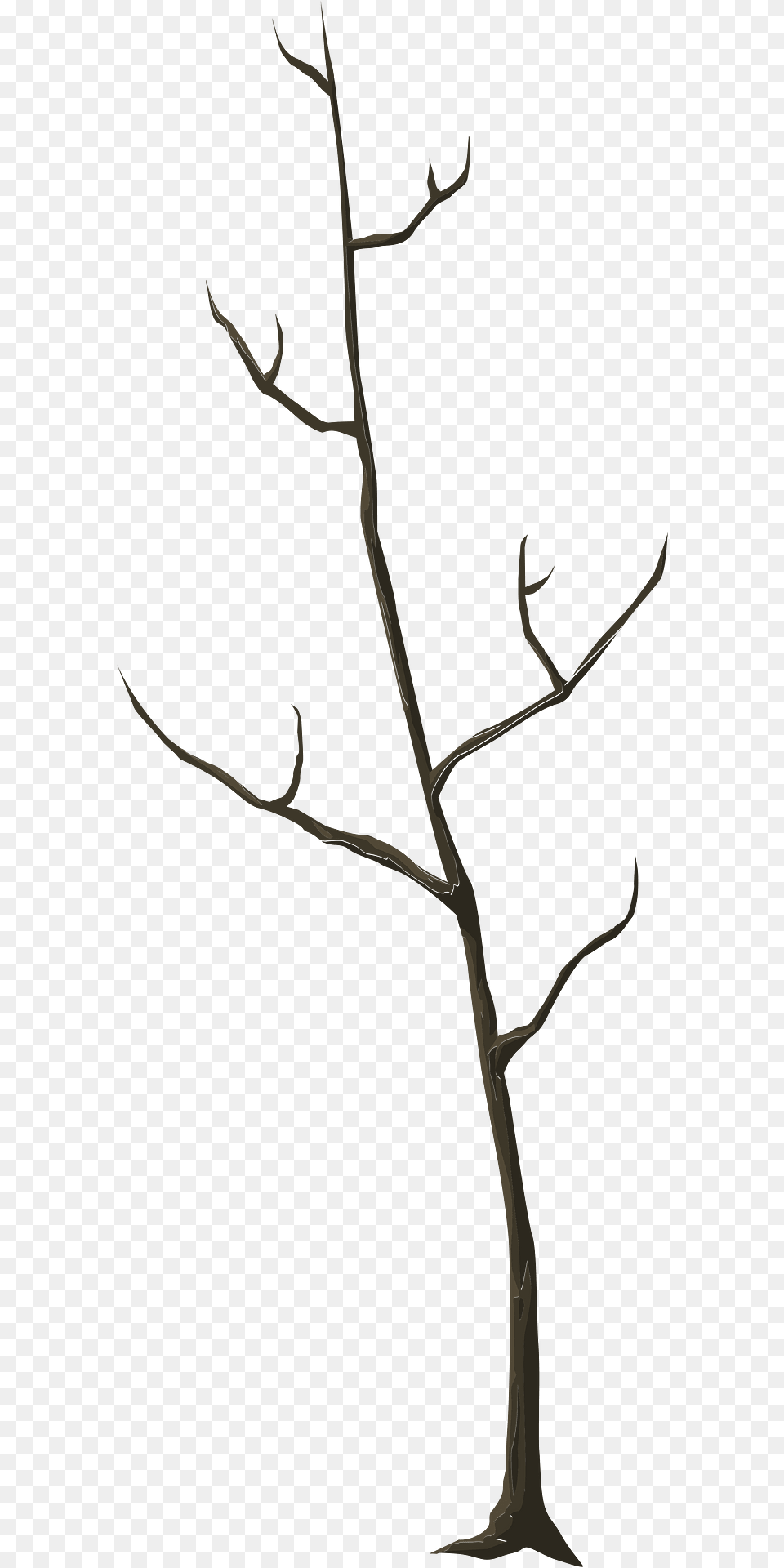 Brown Bare Tree Clipart, Plant Free Transparent Png