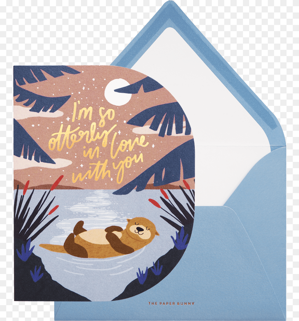 Brown Bear, Envelope, Mail, Greeting Card, Animal Free Transparent Png