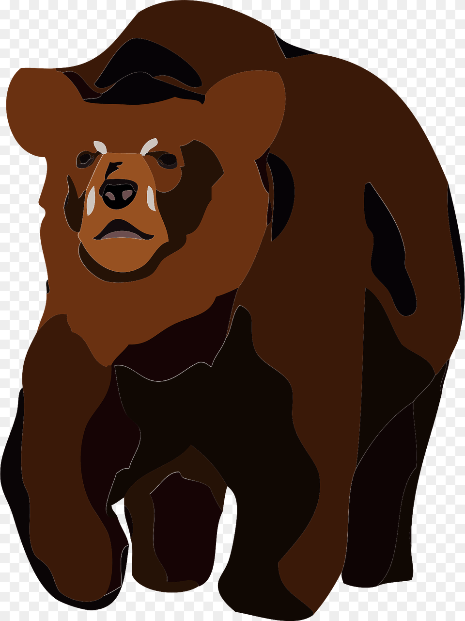Brown Bear Animal Clipart, Wildlife, Mammal, Brown Bear, Adult Free Png