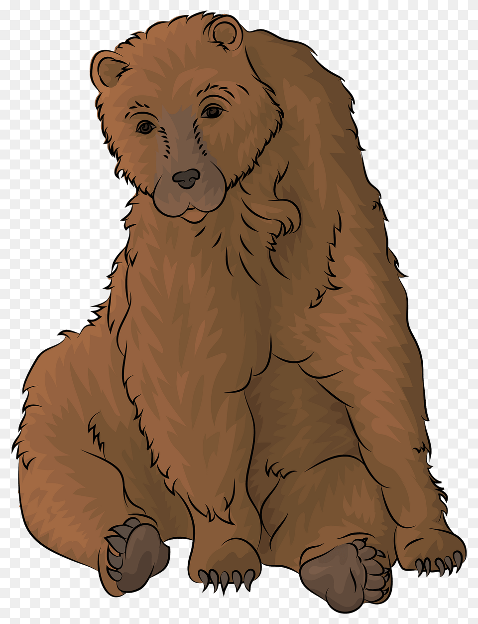 Brown Bear Clipart, Animal, Lion, Mammal, Wildlife Png Image