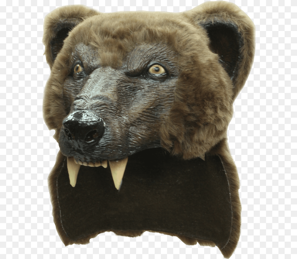 Brown Bear Costume Head Mask Bear Helmet Ghoulish Productions, Animal, Mammal, Wildlife, Brown Bear Png Image