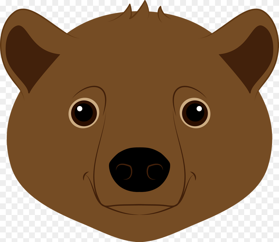 Brown Bear Face Clipart, Animal, Fish, Sea Life, Shark Png Image