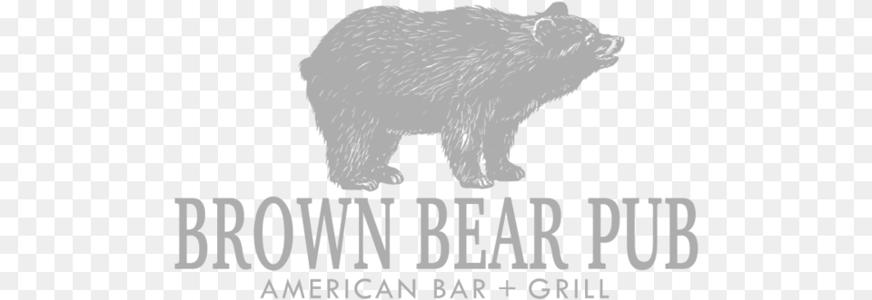 Brown Bear Like Father Like, Animal, Mammal, Wildlife Free Png