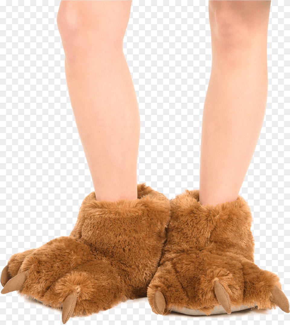 Brown Bear Lion Paw Slippers, Electronics, Hardware, Baby, Person Free Transparent Png