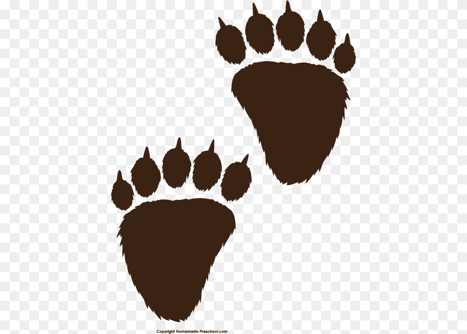Brown Bear Pictures To Print, Footprint, Person, Animal, Reptile Png Image
