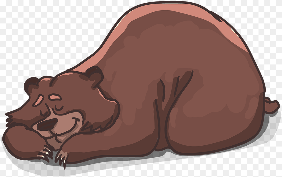 Brown Bear Sleeping Clipart, Animal, Mammal, Baby, Person Png