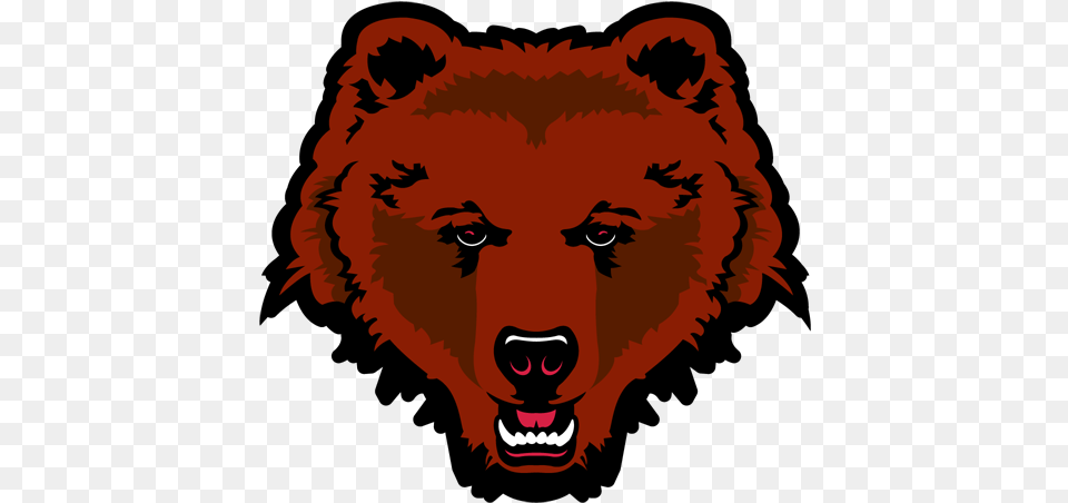 Brown Bears Brown Bear Logo Full Size Download Brown Bears Basketball, Person, Animal, Brown Bear, Mammal Free Png